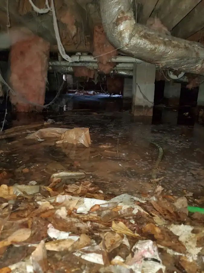Crawl space flood assessment for Leak Detection & Repair in Mammoth Lakes