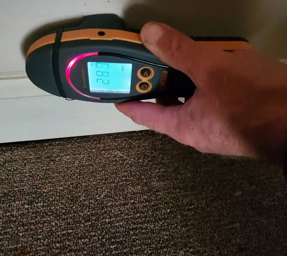 Moisture detection at baseboard during Mold Inspection & Testing in Mammoth Lakes